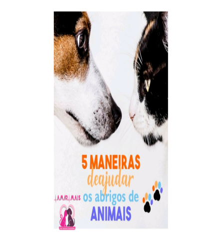 Como ajudar os abrigos de animais